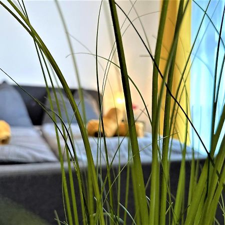 Gemuetliches Studio Im Bayerwald +Pool +Sauna +Wifi Zwiesel Bagian luar foto