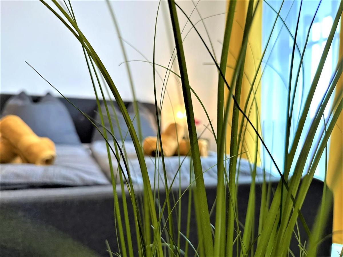 Gemuetliches Studio Im Bayerwald +Pool +Sauna +Wifi Zwiesel Bagian luar foto